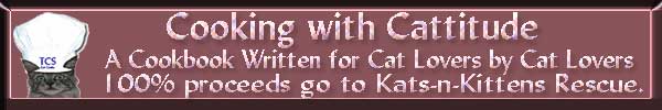 Banner-Ad-2004