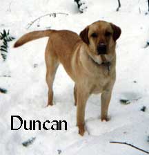 DuncanTagged