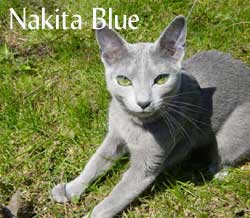 Nakita-&-Grass1