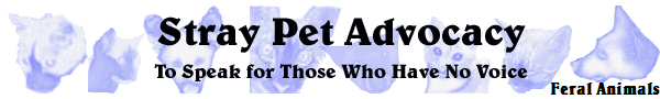 Feral Animals